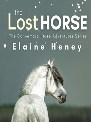 cover image of The Lost Horse--Book 6 in the Connemara Horse Adventure Series for Kids | the Perfect Gift for Children age 8-12